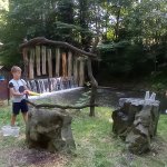 phoca_thumb_m_pohdkov les 173 Fotogalerie